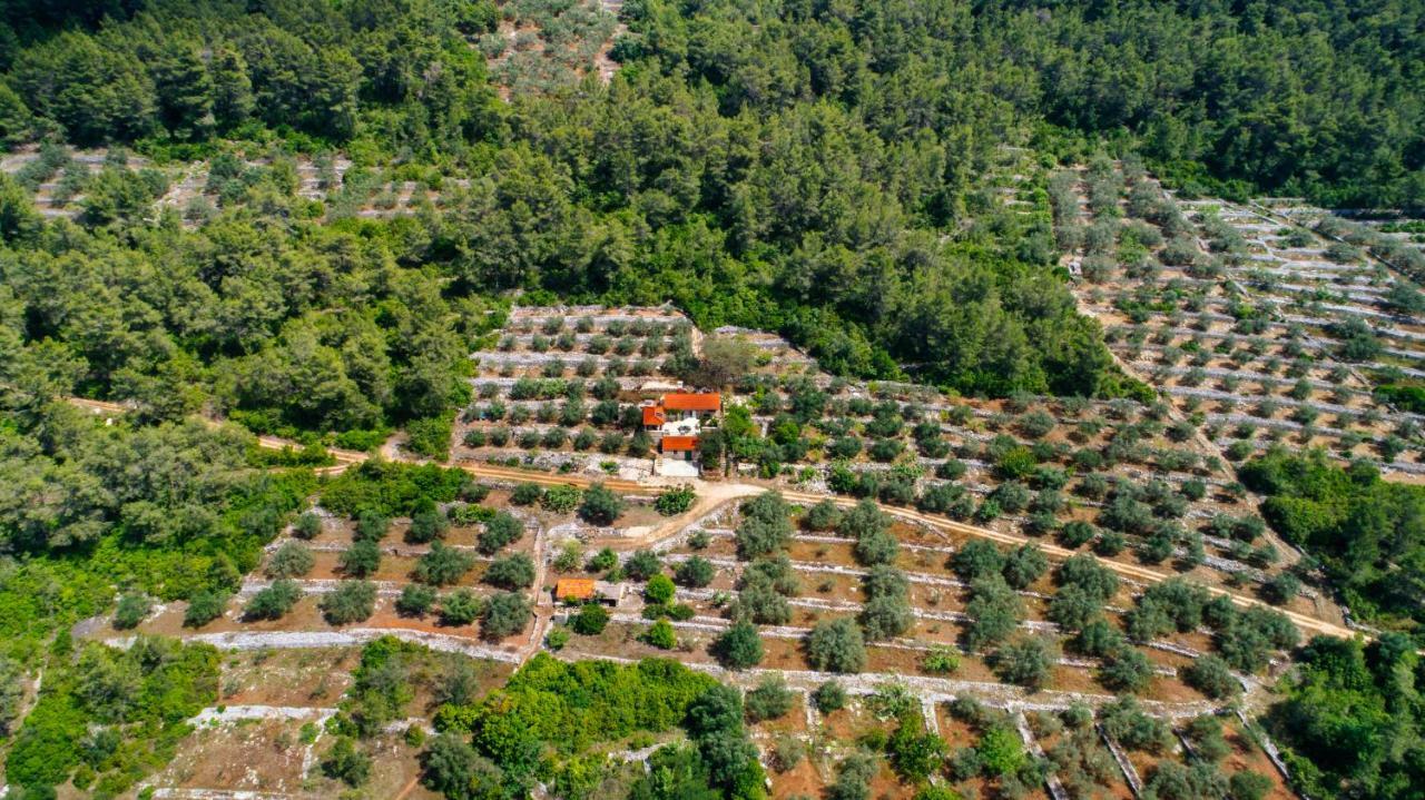 Holiday Home Liberan เวลาลูกา ภายนอก รูปภาพ